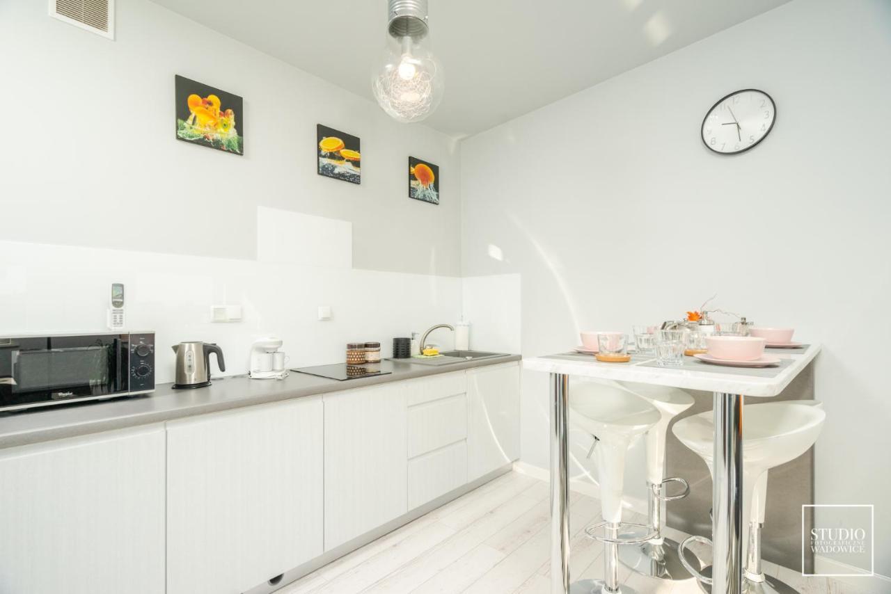 Apartament Modern Apartment Wadowice Exterior photo